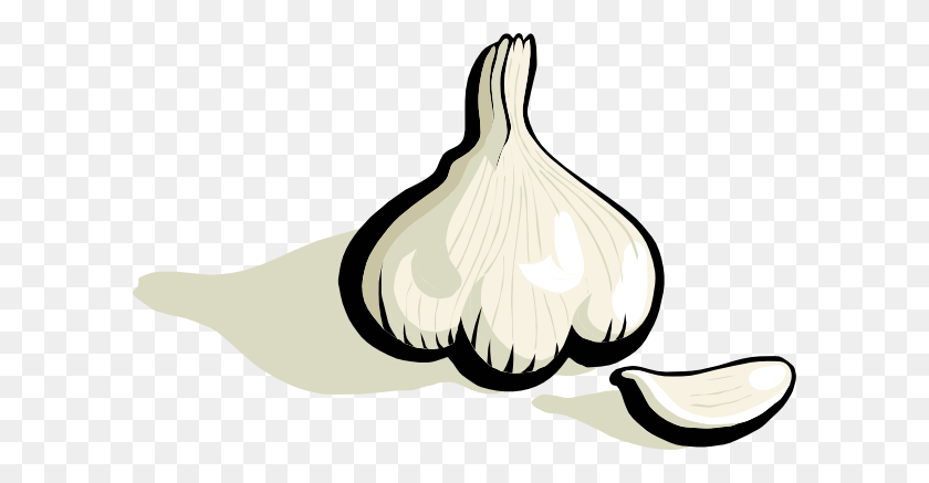 600x377 Garlic Png Large Size - Garlic PNG