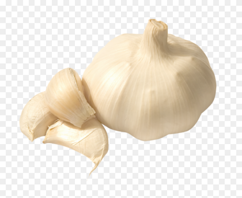 850x684 Garlic Png Png Image - Garlic PNG