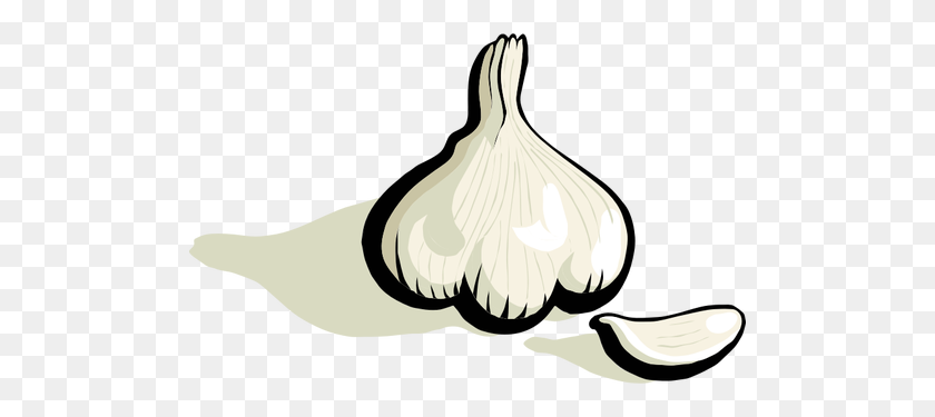 500x315 Garlic Vector Clip Art - Green Onion Clipart