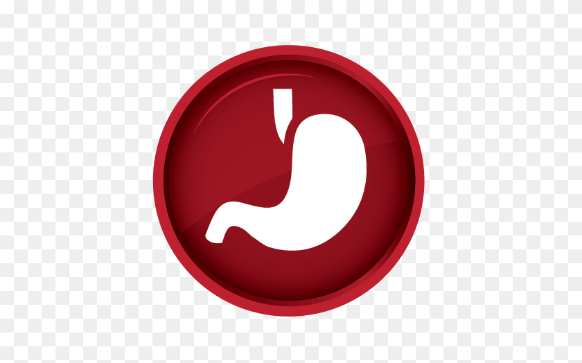 470x464 Gastric Stomach Health - Stomach PNG