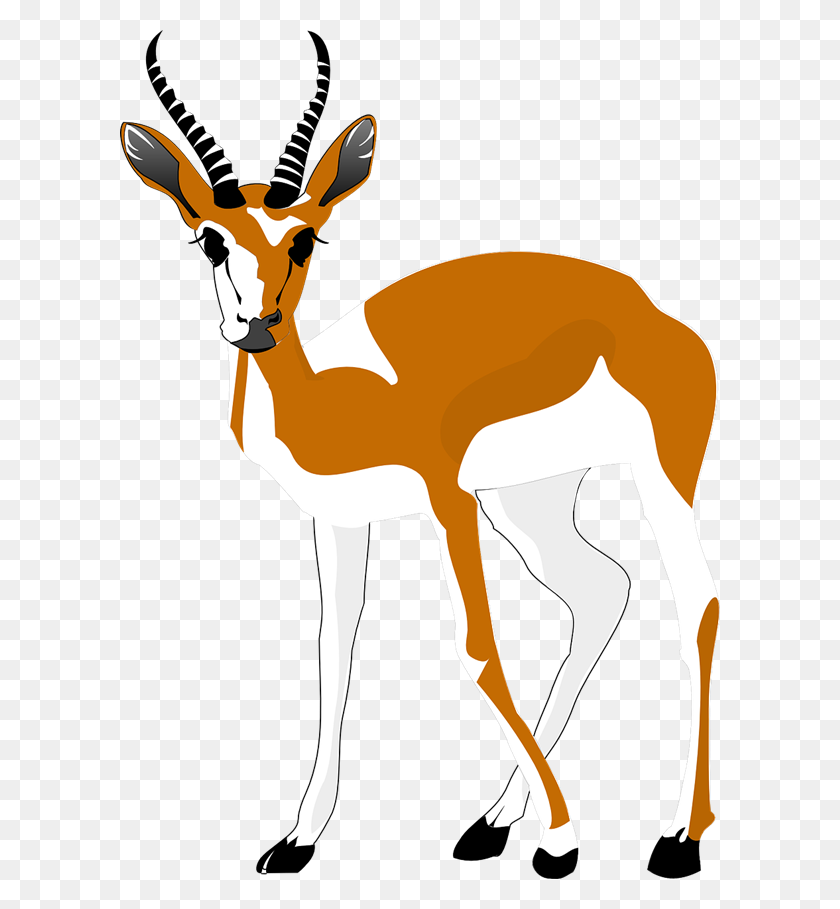 600x849 Gazelle Clipart Dear Animal - Dear Clipart