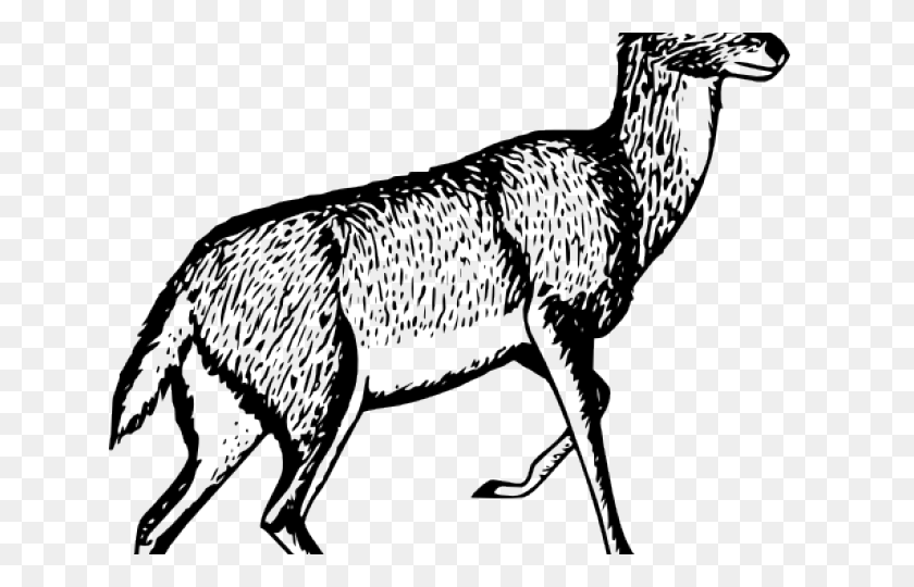 640x480 Gazelle Clipart Small Deer - Gazelle Clipart