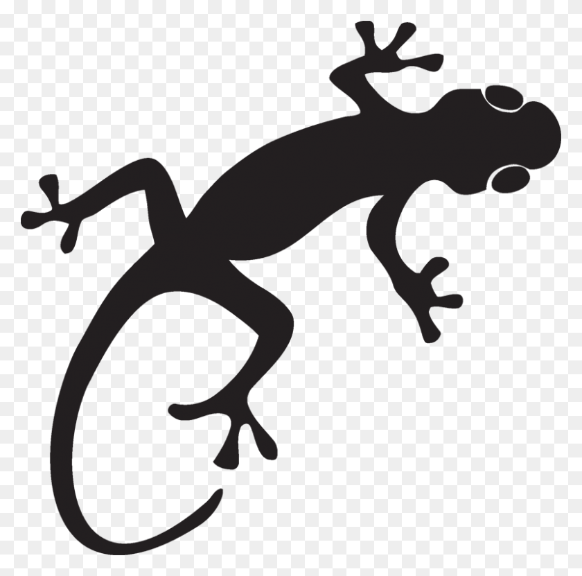 800x791 Gecko Lizard S Arte Plantillas, Decoración De Vinilo Y Pared - Gecko Clipart Blanco Y Negro