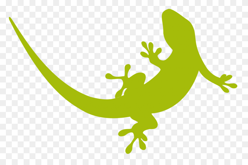 1280x821 Geckos Png Images Transparent Free Download - Gecko PNG