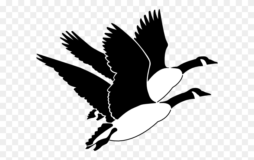 600x469 Geese Clip Art - Seagull Clipart Black And White
