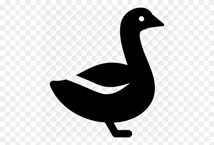 512x512 Geese, Goose, Grey, White Icon - Goose PNG