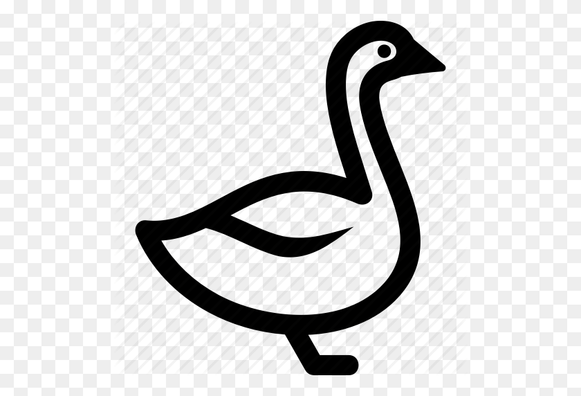 512x512 Geese, Goose, Grey, White Icon - Grey Goose PNG