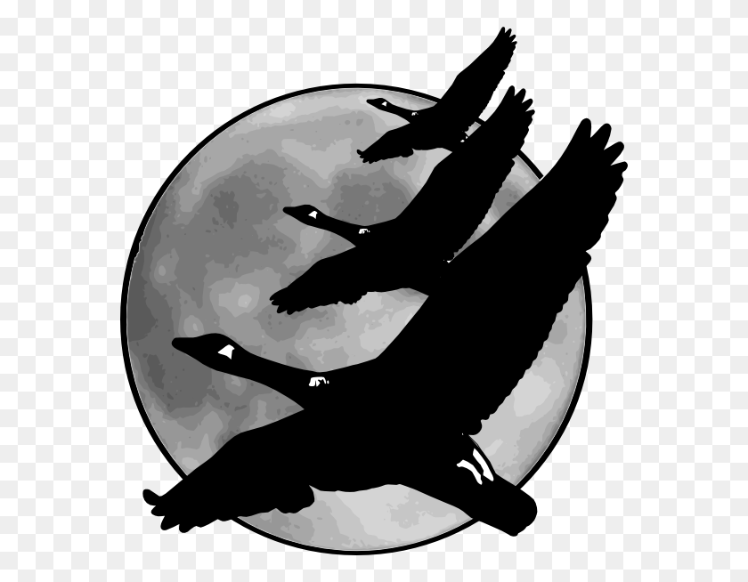 570x594 Geese In Front Of Moon Png, Clip Art For Web - Moon Clipart Black And White
