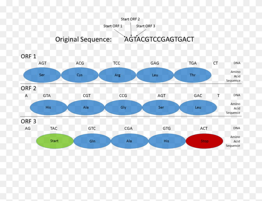 1024x768 Gene Prediction - PNG Interlacing