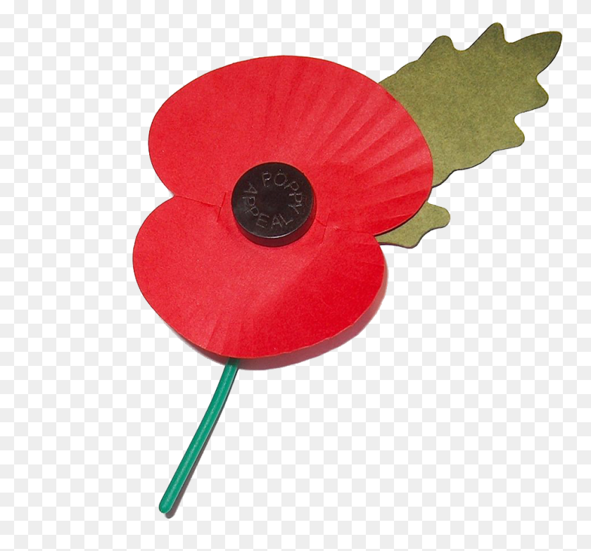 960x890 General Boles On Twitter Fing Amateurs Didn't Even Use - Poppy Flower PNG