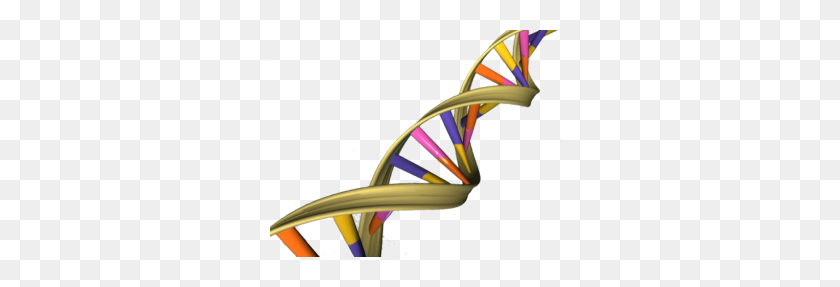 300x227 Genes Made Easy East London Genes Health - Genes Clipart