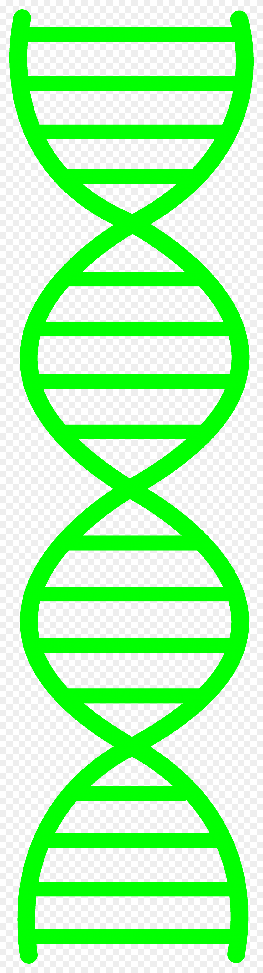 1722x6709 Генетический Клипарт - Генетический Клипарт