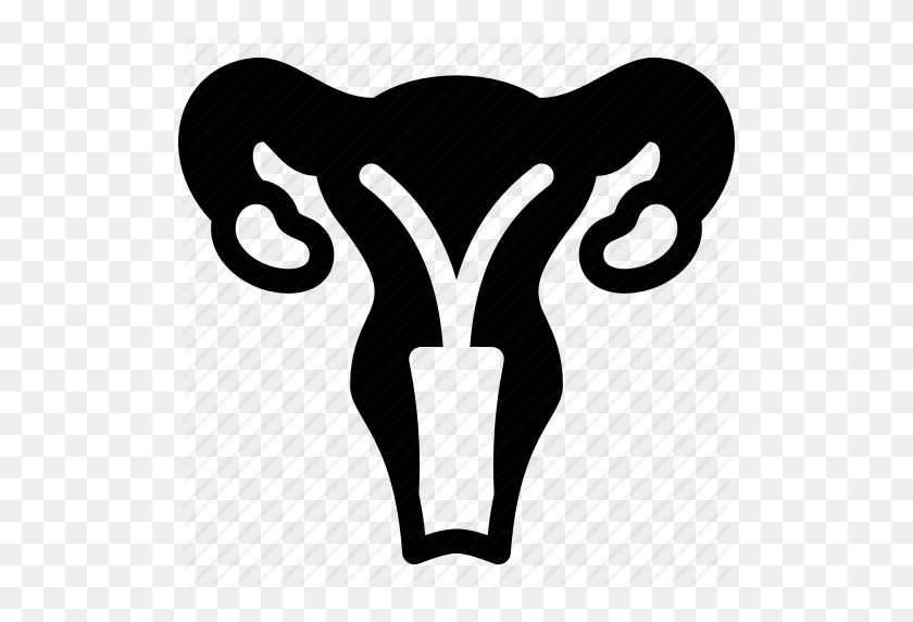 512x512 Genitals, Gynecology, Health, Medical, Ovaries, Reproductive - Medical Clipart Black And White