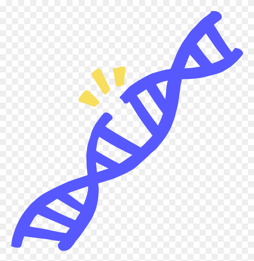 1200x1238 Genome Advisory - Ribosome Clipart