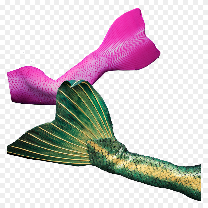 1200x1200 Get Your Professional Fabric Or Silicone Mermaid Tail - Mermaid Fin Clipart