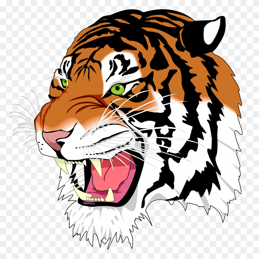 2000x2000 Ghostscript Tiger - Tiger Face PNG