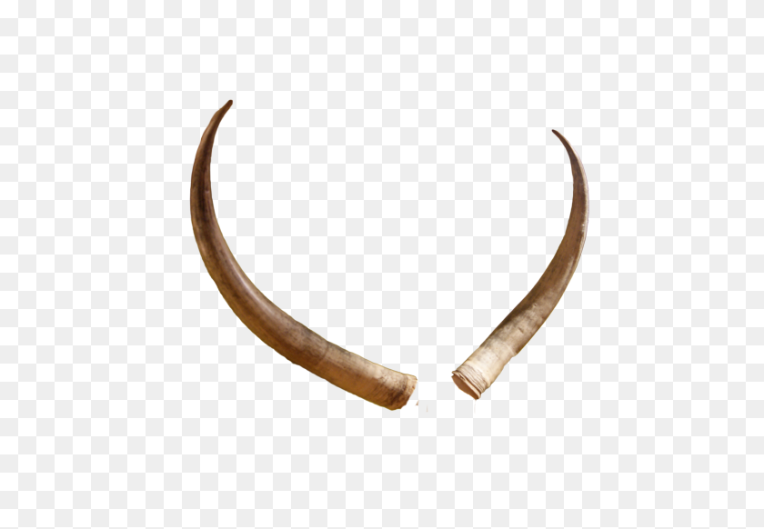 3872x2592 Giant Antlers Png Risunki Dlia Photoshopa Antlers - Giant PNG
