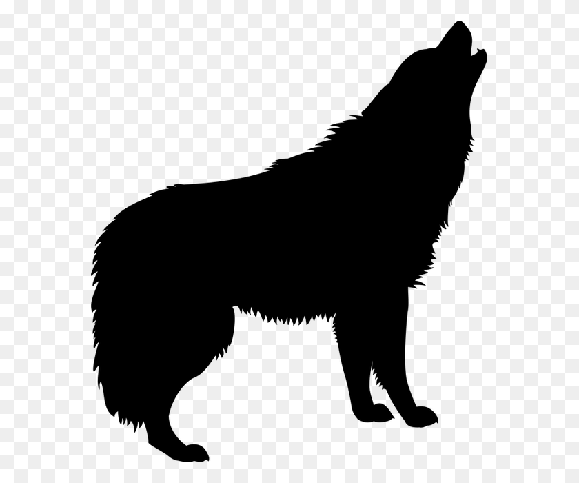575x640 Giant 'dire Wolf' Attacking Dog Video From Resurfaces - Black Wolf PNG
