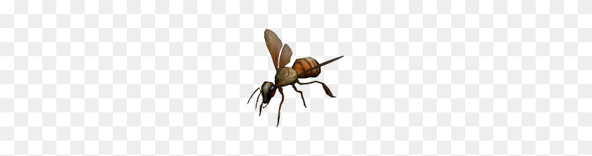 180x162 Giant Wasp - Wasp PNG