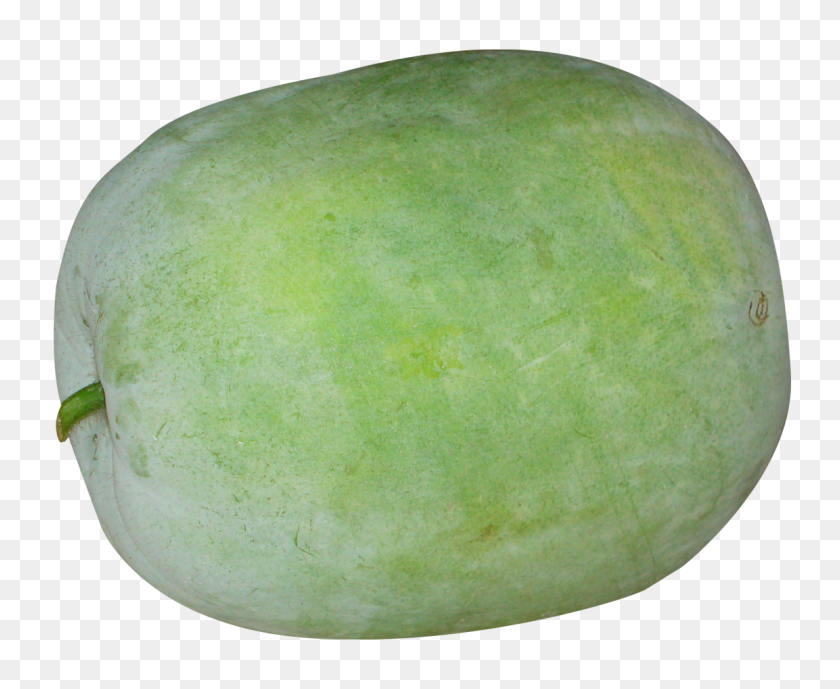 1153x931 Giant Winter Melon Png Image Png Transparent Best Stock Photos - Turnip PNG
