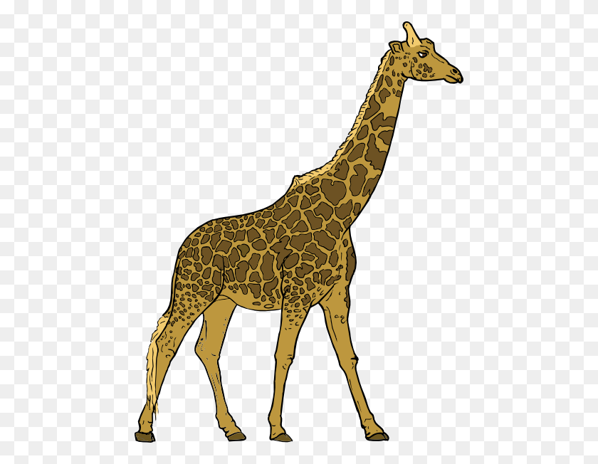 462x592 Giraffe Clip Art - Raiders Clipart