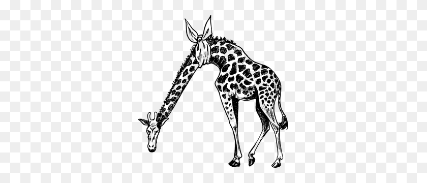 295x300 Giraffe Clip Art - Noahs Ark Clip Art Black And White