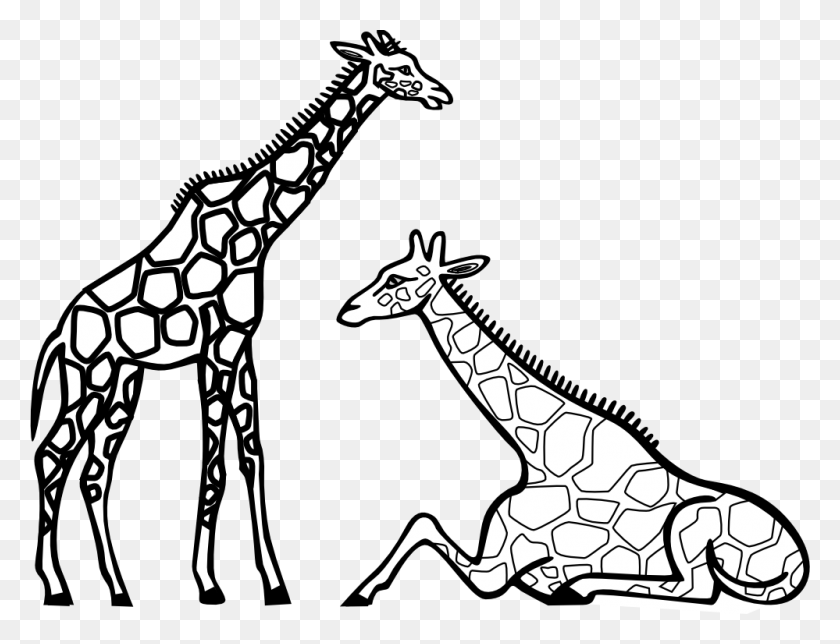 999x749 Giraffe Clip Art Black And White - Elephant Clipart PNG