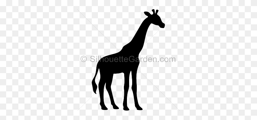 336x334 Giraffe Head Silhouette Clipart - Giraffe Clipart Outline