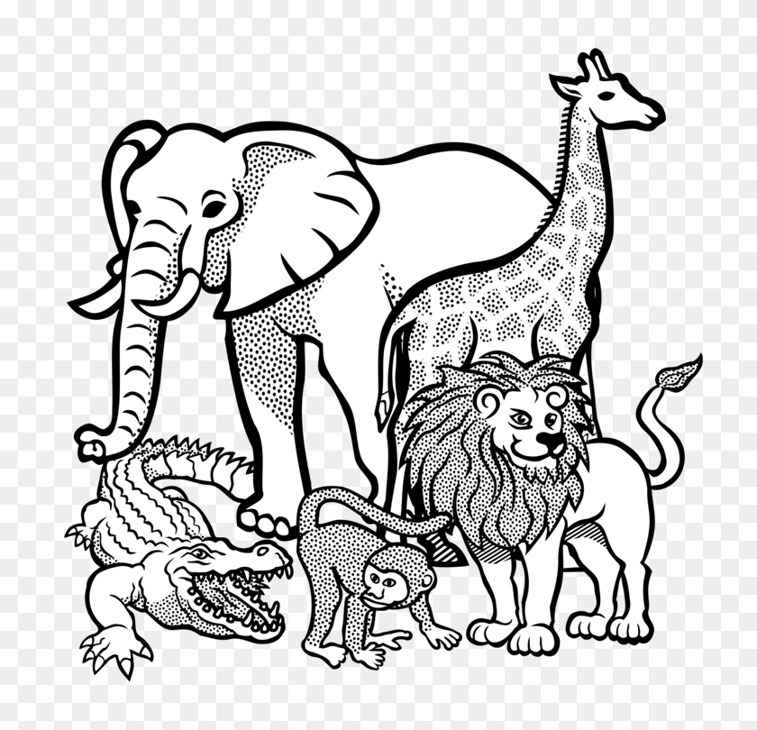 744x750 Жираф Лев Раскраска Слоны Африканский Слон Бесплатно - Черно-Белый Клипарт Лев