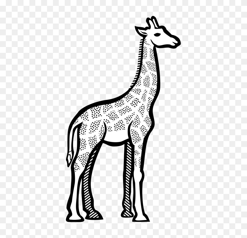 439x750 Жираф Лев Слоны Раскраска Африканский Слон Бесплатно - Сафари Животные Клипарт