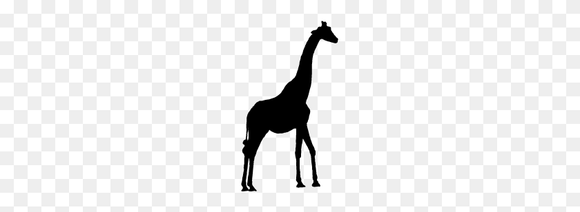 141x248 Giraffe Silhouette Clip Art Free Clip Art - Giraffe Clipart Black And White