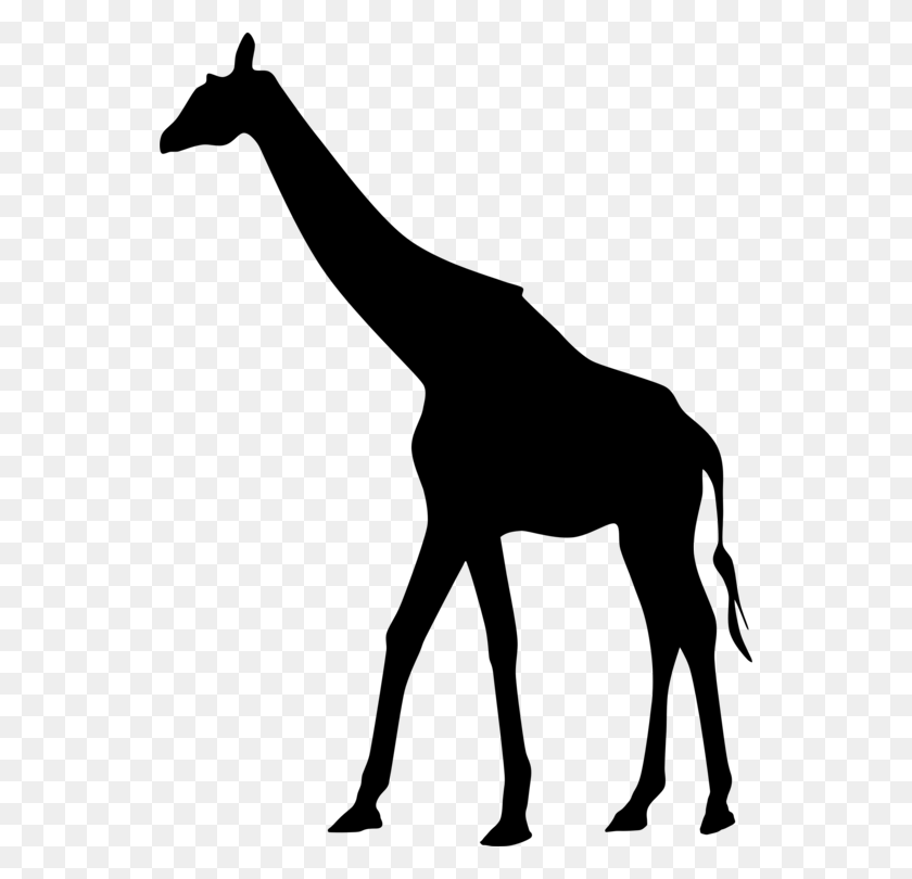 546x750 Giraffe Silhouette Drawing Art - Giraffe Clipart Black And White