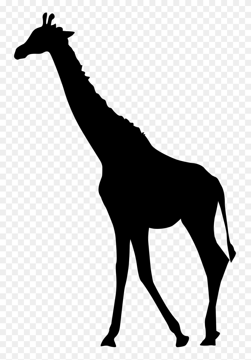 5455x8000 Giraffe Silhouette Png Transparent Clip Art Gallery - Silhouette Clip Art