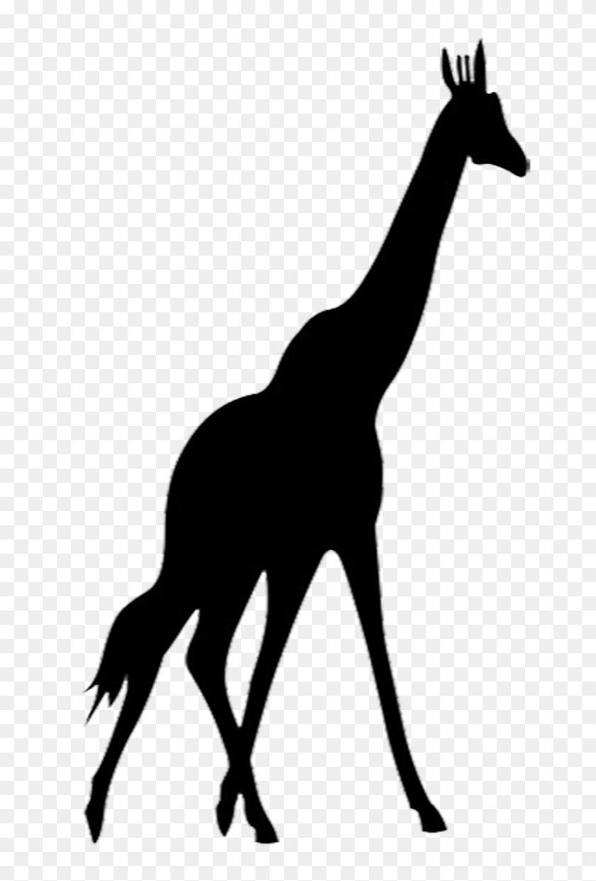 664x1181 Giraffe Silhouette Zoo Animals Unit Silhouette - Quad Clipart