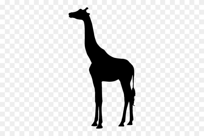 276x500 Giraffe Vector Silhouette - Giraffe Clipart Black And White