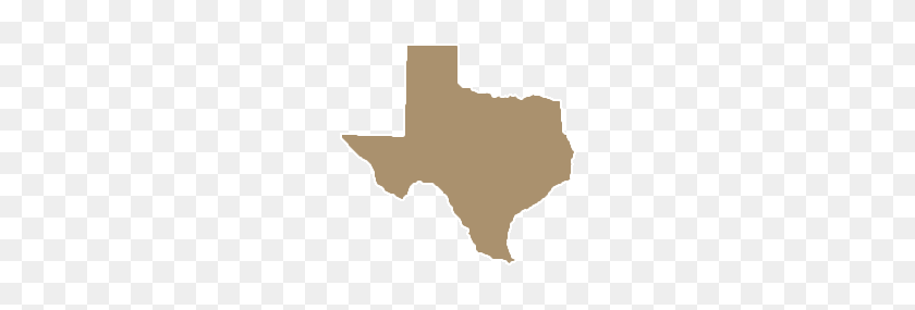 225x225 Giza - Texas State Outline PNG