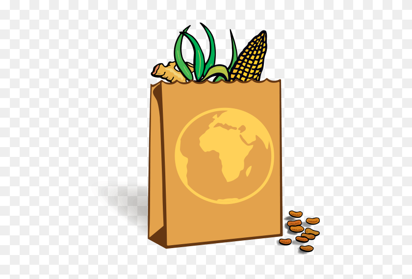 480x509 Global Grocery Amnh - Grocery PNG