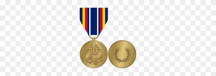 220x236 Guerra Global Contra El Terrorismo Medalla De Servicio - Medalla De Honor Png