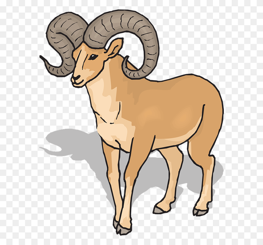 590x720 Goat Clipart Front - Free Goat Clipart