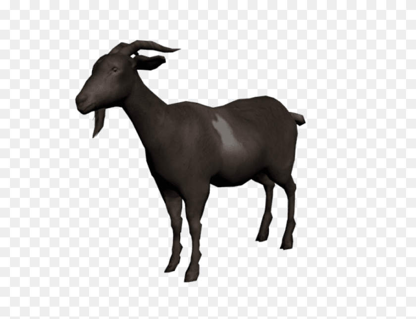 850x638 Goat Photo Png - Goat PNG