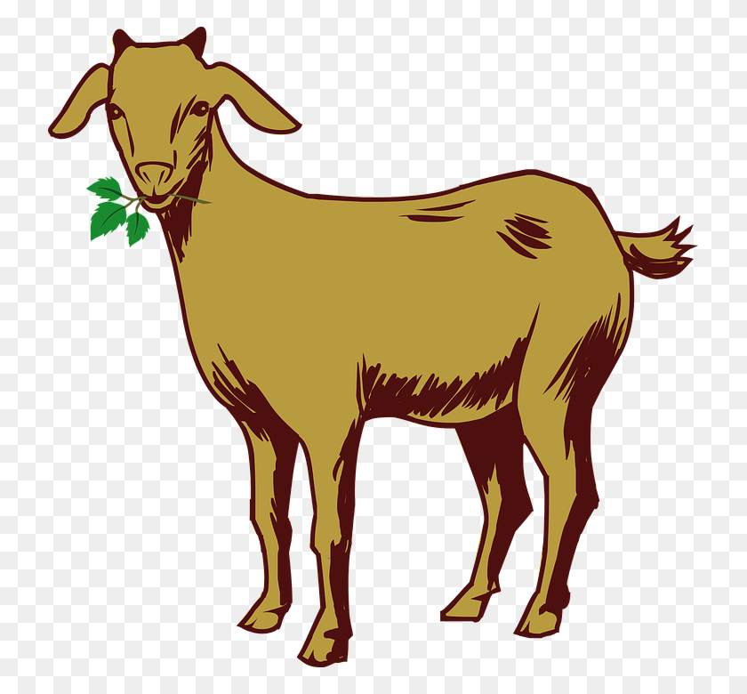 731x720 Goats Head Clipart Binatang - Goat Head PNG