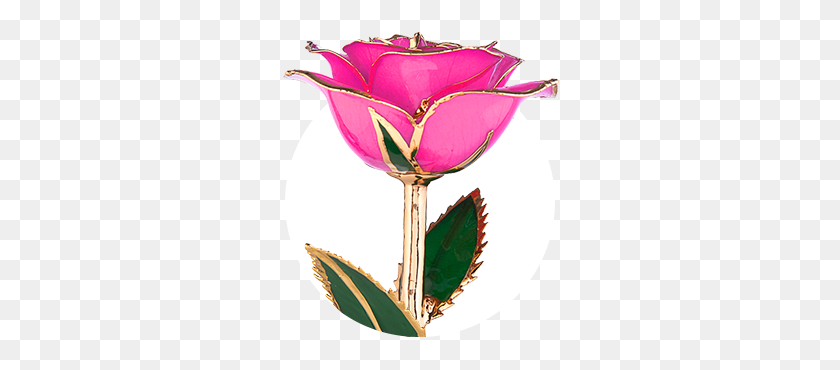 280x310 Rosas Bañadas En Oro Rosas Reales Hechas Para Durar Toda La Vida Steven - Rosa Dorada Png