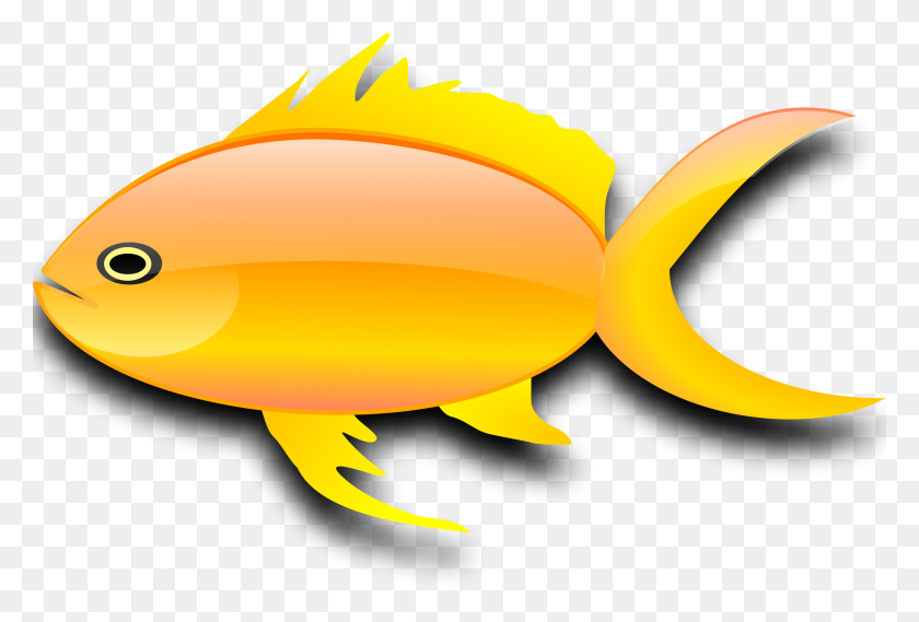 2400x1567 Gold Fish Clip Art, Gold Fish Clip Art - Gold Rush Clipart