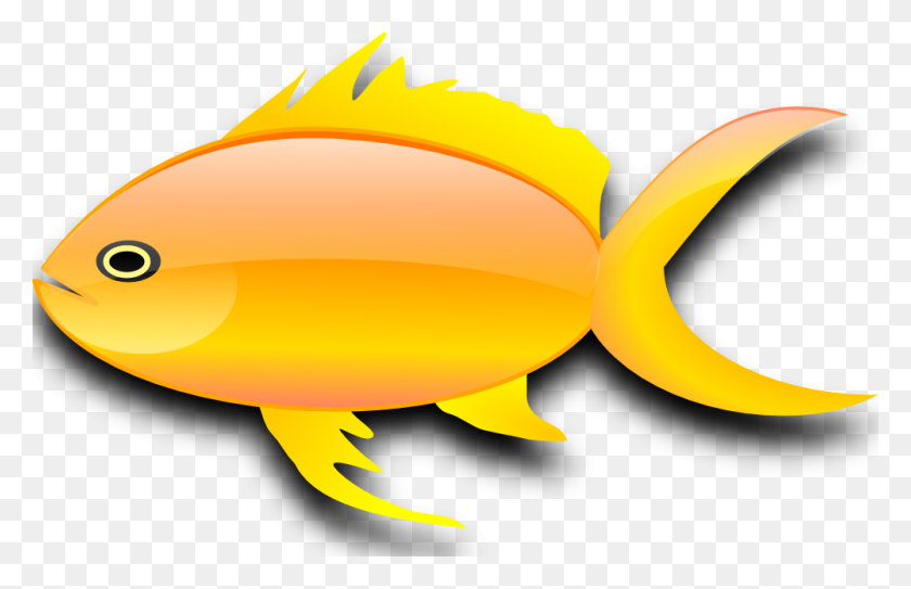 1000x620 Gold Fish Clipart Pretty Fish - Gold Confetti Clipart