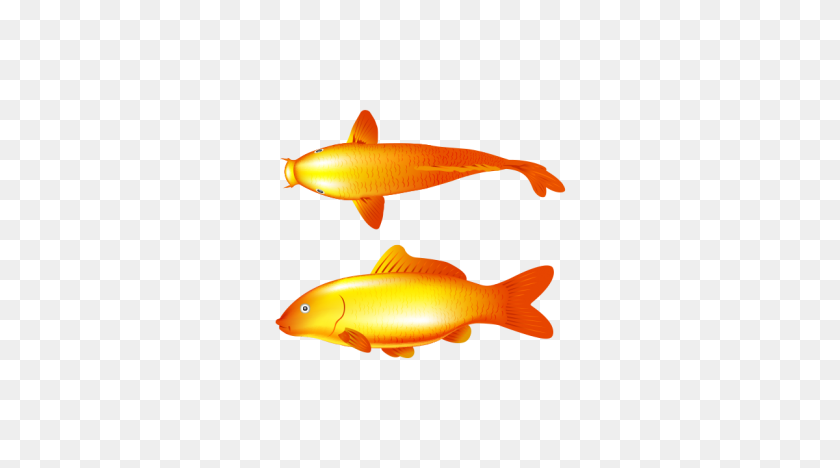 1200x628 Gold Fish Free Vector And Transparent Png The Graphic Cave - Gold Fish PNG