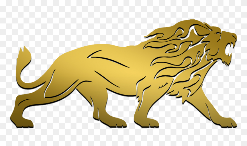 809x455 Gold Lion Logos - Lion Logo PNG