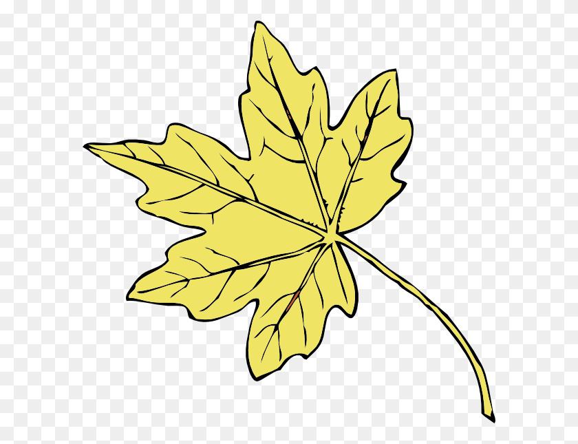 600x585 Gold Maple Leaf Clip Art - Tree Without Leaves Clipart