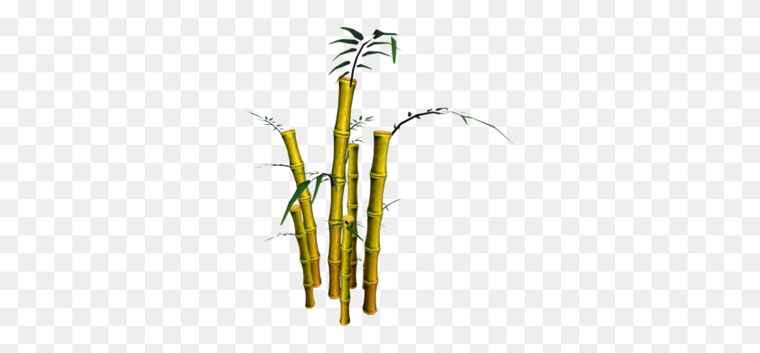 300x330 Golden Bamboo - Bamboo PNG