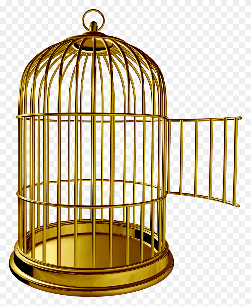 1836x2272 Golden Bird Cage Png Image - Cage PNG