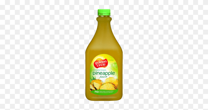 308x385 Golden Circle Pineapple Juice Party Ideas Juice - Slurp Juice PNG